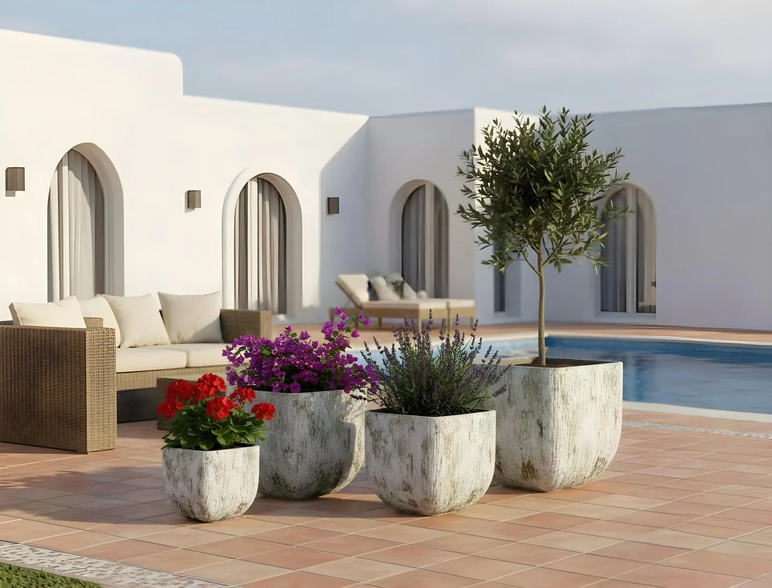 Cultivating calm, considered spaces — one vessel at a time